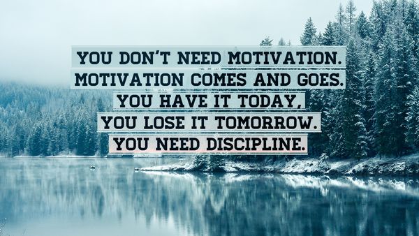 Discipline Is What You Need
