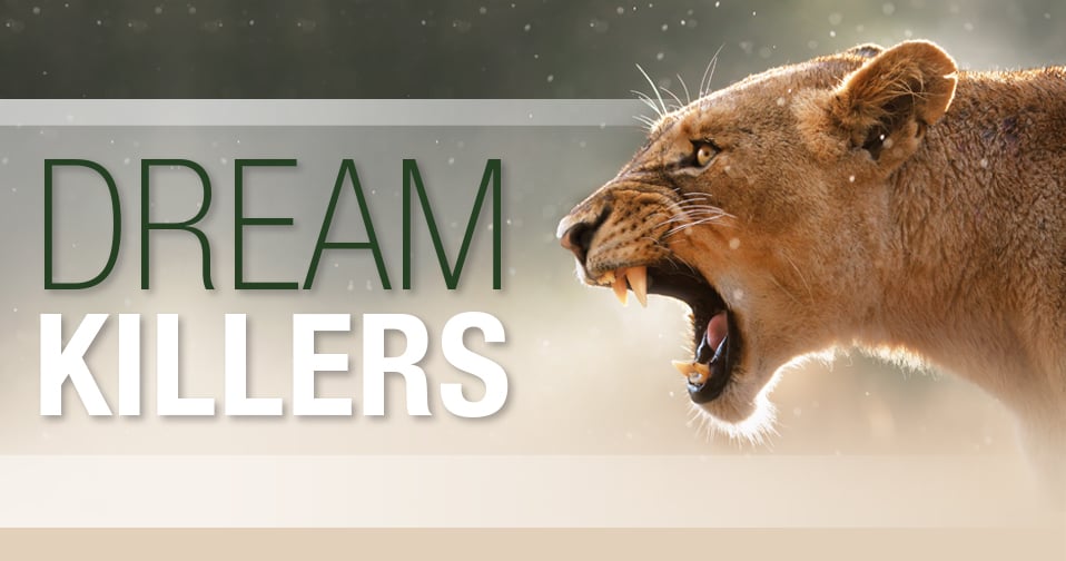Dream Killers feature-dream-killers-issue14-1